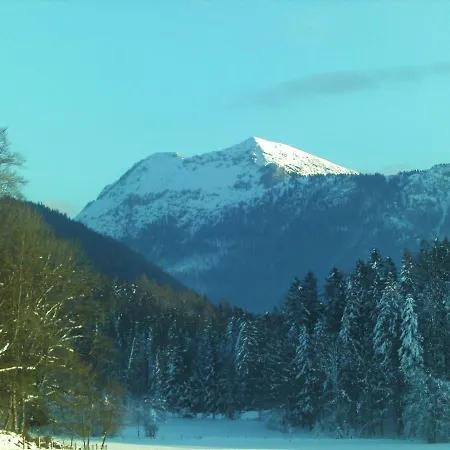 Gerlindes Haus - Inkl. Chiemgau-karte Апартаменты Зигсдорф