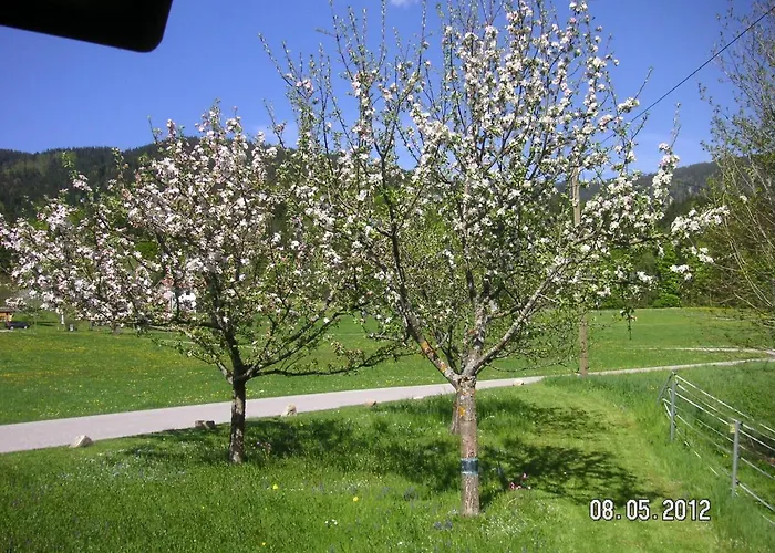Apartmán Gerlindes Haus - Inkl. Chiemgau-karte