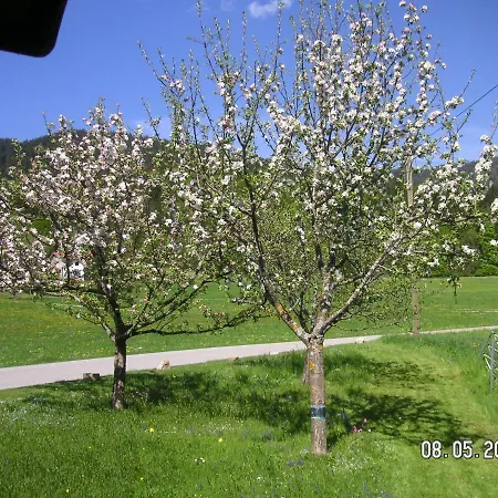 アパート Gerlindes Haus - Inkl. Chiemgau-karte